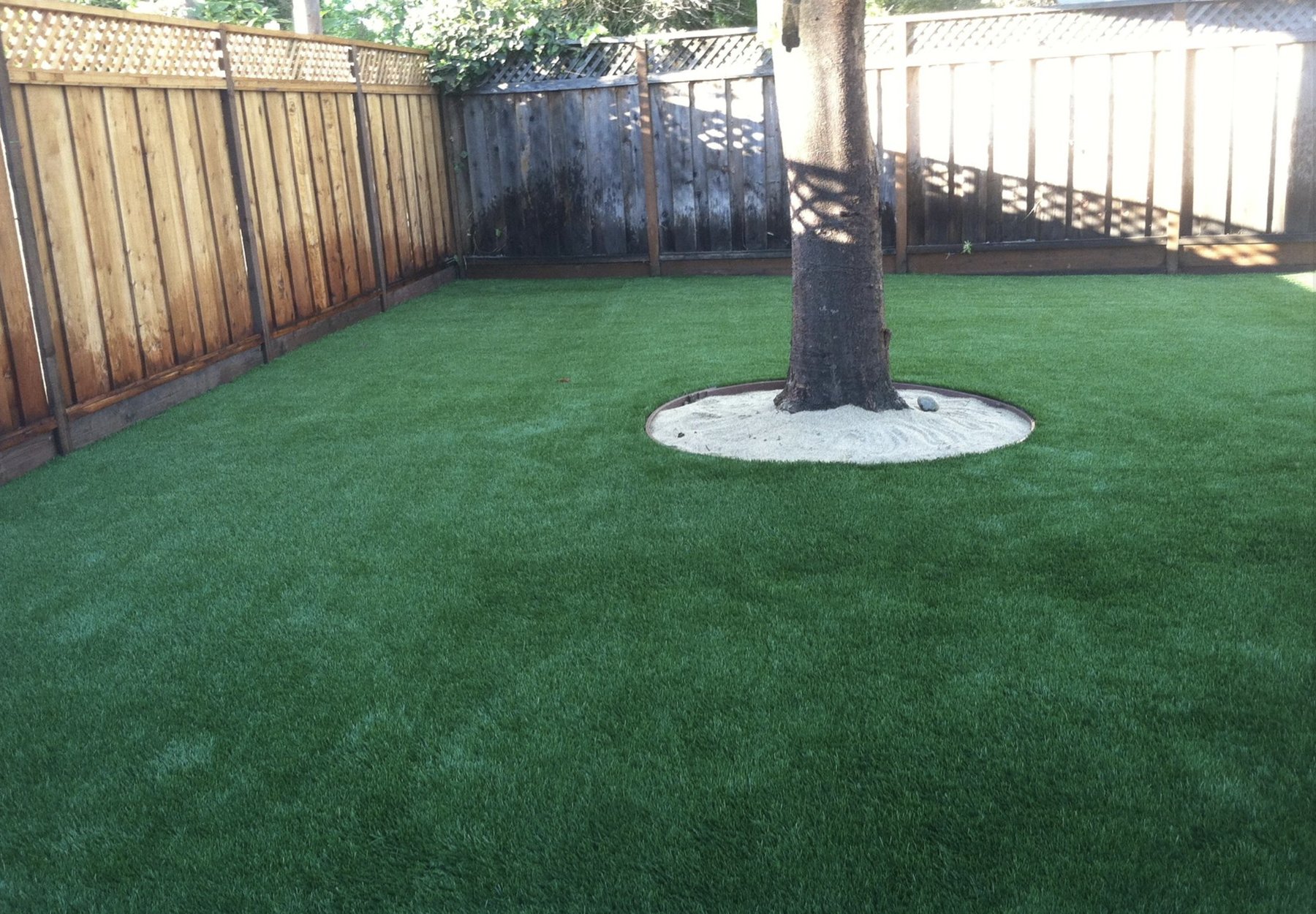 Backyard putting green with multiple cups and chipping fringe